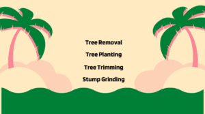 Tree Removal Maui